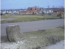 r0100449