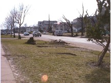 r0100468