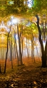 101808_3423TS-72x48-C