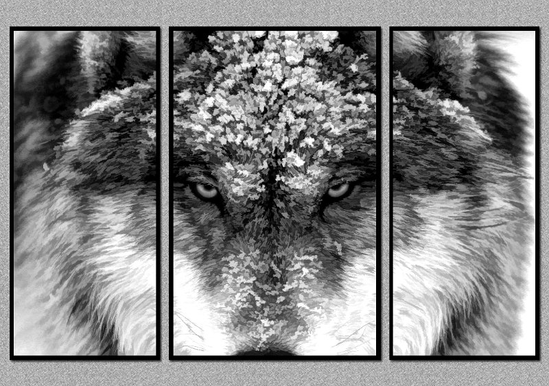 030607_9317TS-BW-TRI.jpg