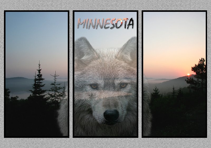 071005_2580-Wolf-MN-TRI.jpg