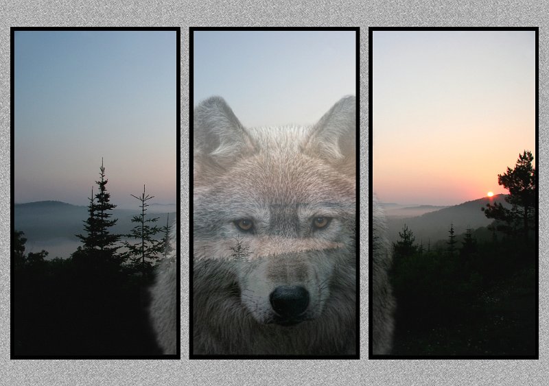 071005_2580-Wolf.jpg