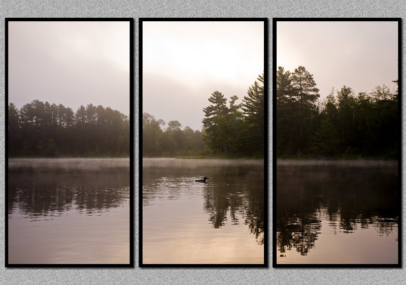 082008_0265-TRI.jpg