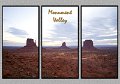 030409_6145-MV-TRI