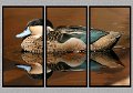 041406_4493c-TRI