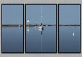 060303_5794-TRI