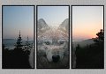 071005_2580-Wolf