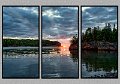073008_9910T-TRI