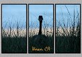 081505_4144-Wawa-TRI