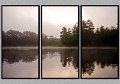 082008_0265-TRI