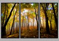 101808_3423TS
