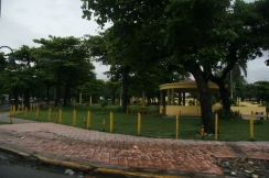 081006_9198